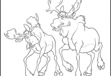 Photo of Dibujos Para Colorear Alces