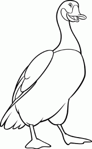 Dibujos para colorear oca
