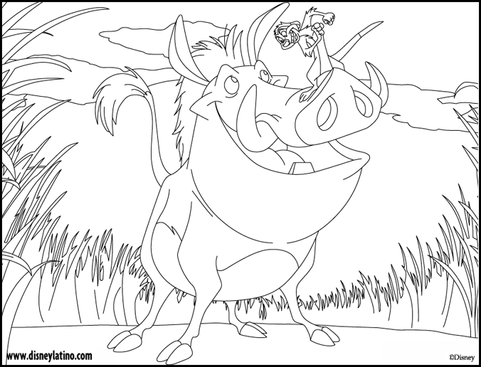 Dibujos Para Colorear Timon Y Pumba - Dibujos Para Colorear Timon Y Pumba