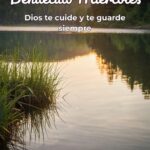 Bendecido Miercoles