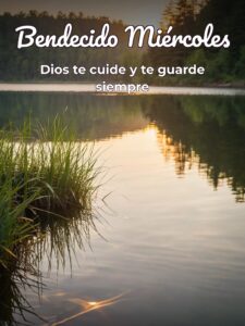 Bendecido miércoles