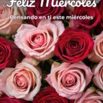 Buen Dia Mi Amor Feliz Miercoles