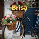 feliz cumpleaños brisa