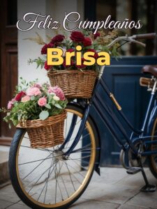Feliz cumpleaños brisa