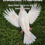 Feliz Miercoles Con Dios Para Whatsapp Gratis