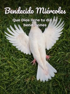 Feliz miércoles con Dios para WhatsApp gratis
