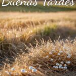 Buenas Tardes