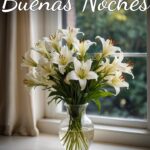 Buenas Noches