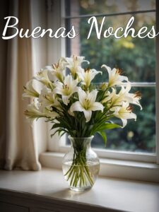 Tarjetas para desear buenas noches