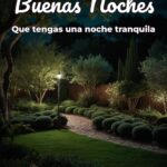 buenas noches que tengas una noche tranquila