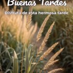 buenas tardes disfruta de esta hermosa tarde