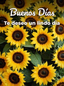 Bellas palabras de buenos días para Facebook
