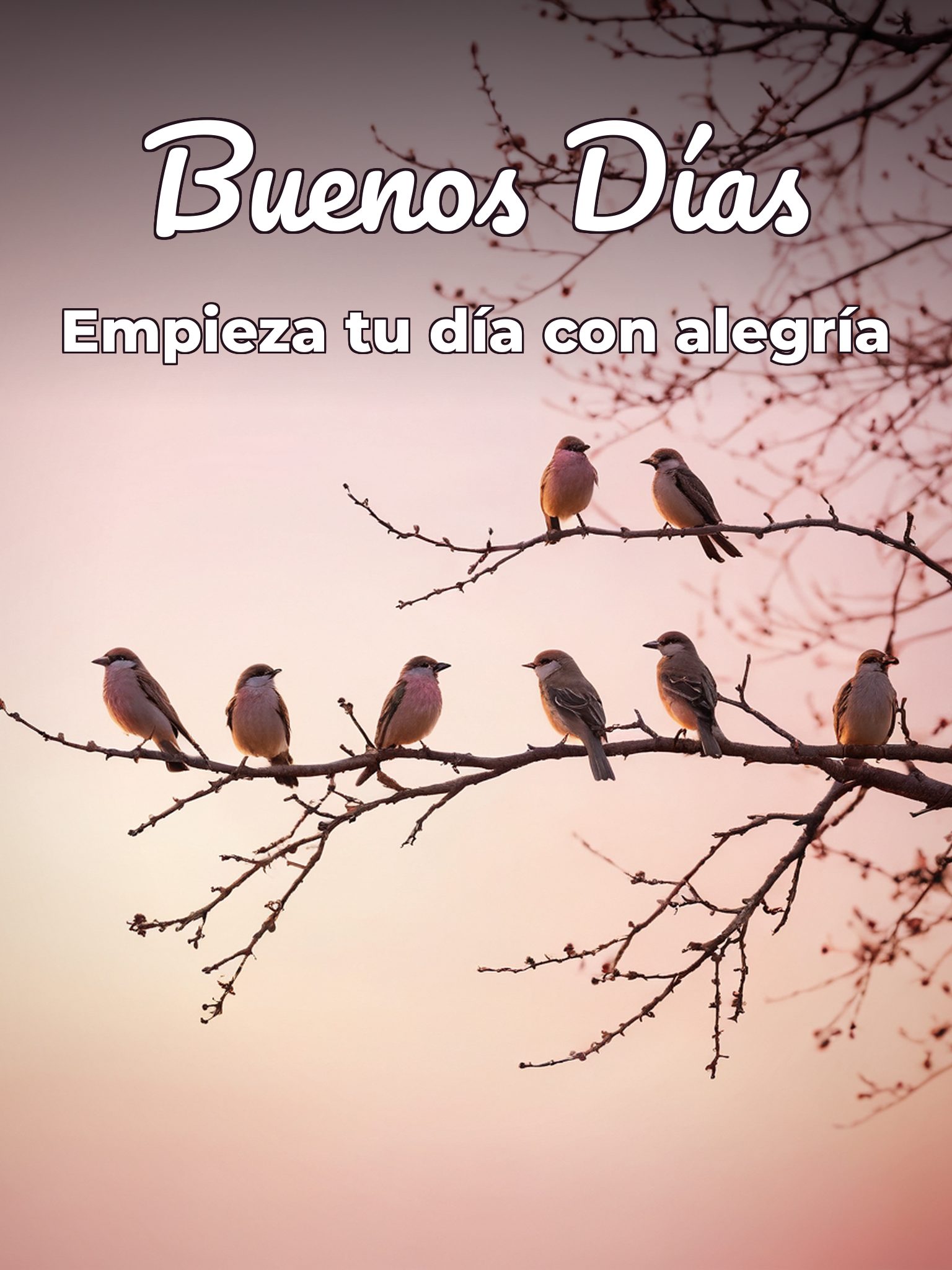 Bellas palabras de buenos días