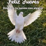 feliz jueves empieza tu jueves con alegría