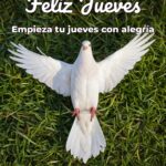 feliz jueves empieza tu jueves con alegría
