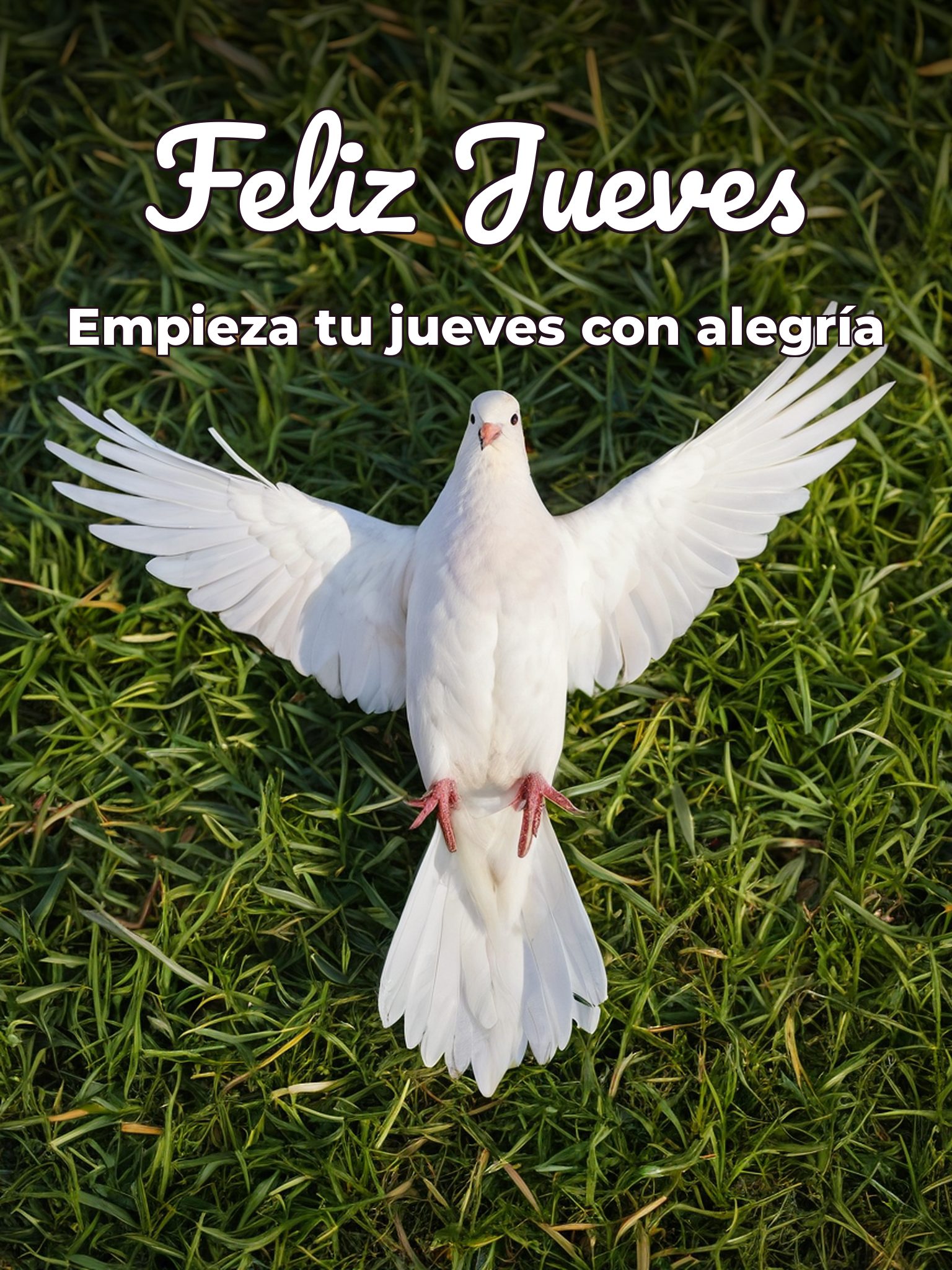 Bendecido jueves para celular descargar