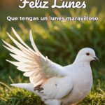 feliz lunes que tengas un lunes maravilloso