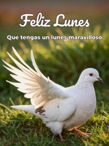 Bendecido lunes amiga para descargar gratis