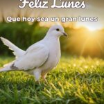 feliz lunes que hoy sea un gran lunes