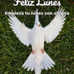 feliz lunes empieza tu lunes con alegría