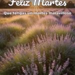 feliz martes que tengas un martes maravilloso