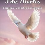 feliz martes empieza tu martes con alegría