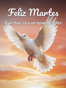 Bendecido martes para celular