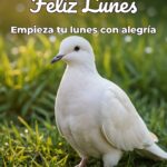 feliz lunes empieza tu lunes con alegría