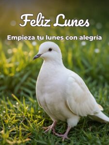 Bendiciones feliz lunes