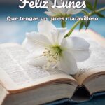 feliz lunes que tengas un lunes maravilloso
