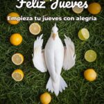 feliz jueves empieza tu jueves con alegría