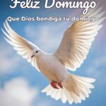 feliz domingo que dios bendiga tu domingo