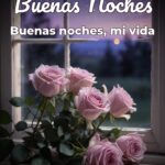 buenas noches buenas noches, mi vida