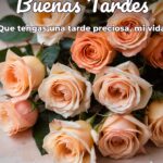 buenas tardes que tengas una tarde preciosa, mi vida