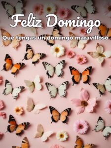 Bonito domingo frases para celular