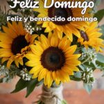 feliz domingo feliz y bendecido domingo
