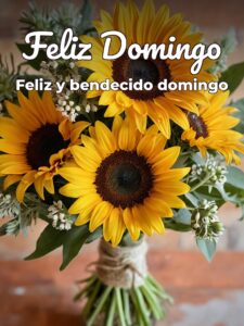 Bonito domingo para WhatsApp