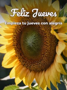 Bonito jueves