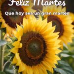 feliz martes que hoy sea un gran martes
