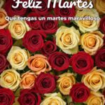 feliz martes que tengas un martes maravilloso