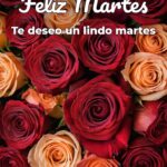 feliz martes te deseo un lindo martes