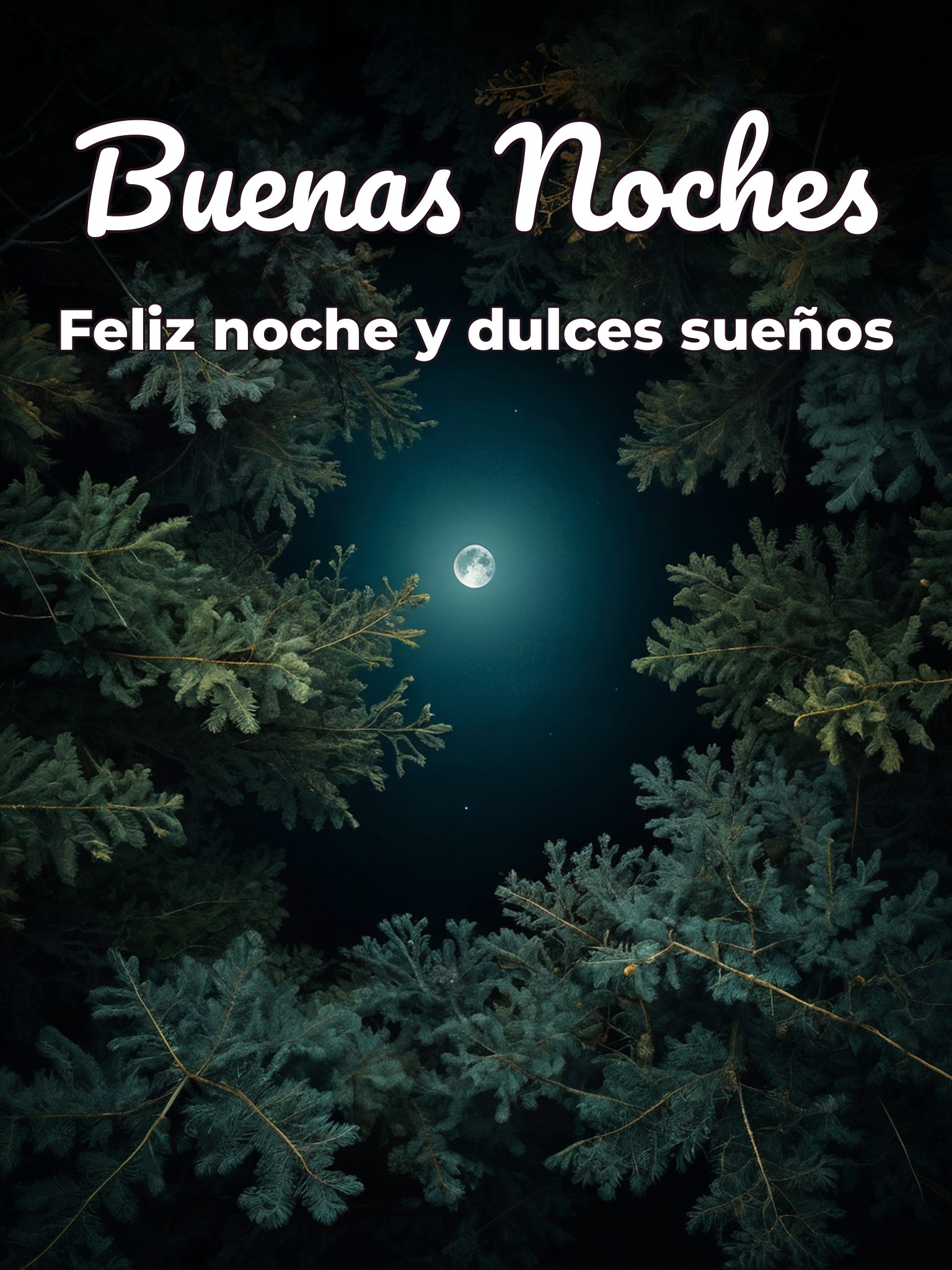 Bonitos pensamientos de buenas noches para Facebook