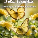feliz martes que tengas un martes maravilloso