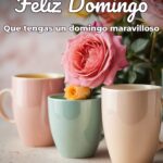 feliz domingo que tengas un domingo maravilloso