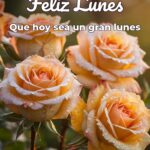 feliz lunes que hoy sea un gran lunes