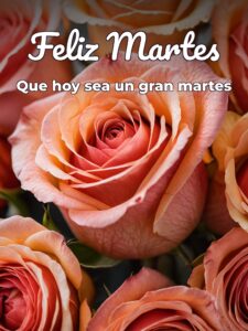 Buen martes amor