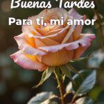 buenas tardes para ti, mi amor