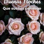 buenas noches que sueñes conmigo