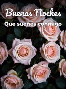 Buenas noches a mi novia