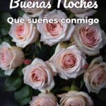 buenas noches que sueñes conmigo